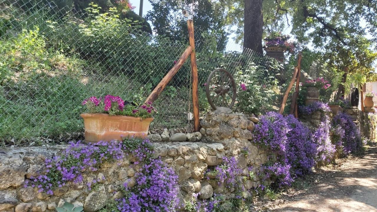 La Limonaia Country House 몬테리지오니 외부 사진