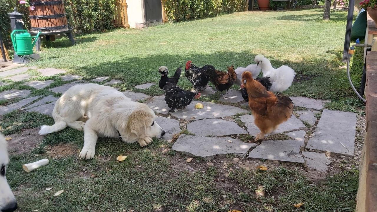 La Limonaia Country House 몬테리지오니 외부 사진
